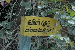 March 03 2007