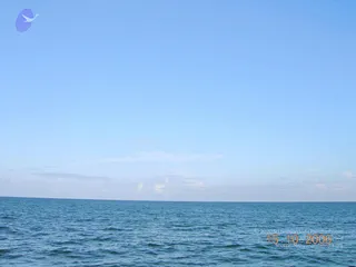 October 15 2006