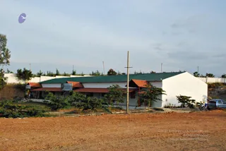 November 20 2008