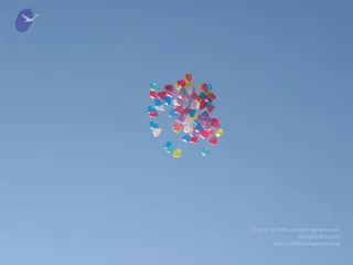 June 29 2009
