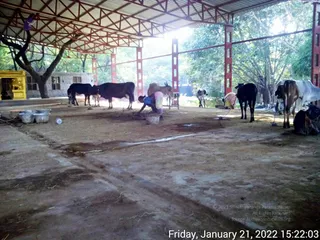 January 21 2022