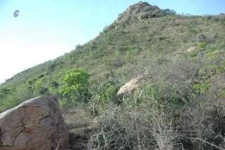 1978 - Tiruvannamalai - InnerGirivala