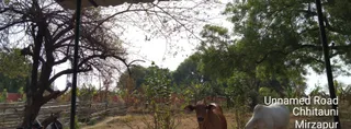 Photo 9920077