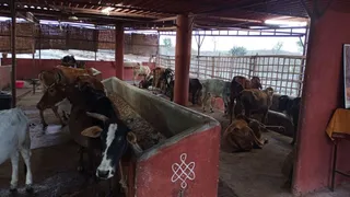 December 27 2021 sripuram