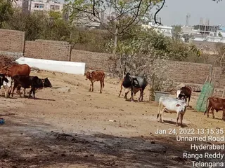 Jan 24 2022 sripuram
