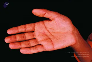 2003 -Glimpses From Various Programs