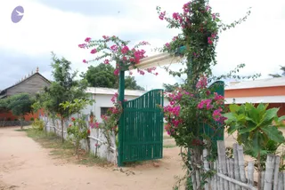 July 08 2010