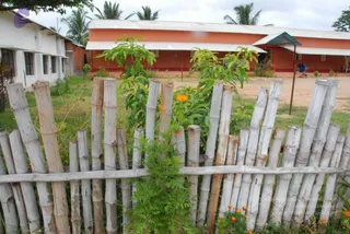 July 08 2010