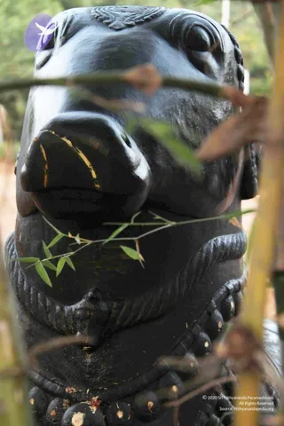 20110926 Photo 1018 1VqXZ19SJyJP7yg6SIFbKpMjWXx2N1-sz.JPG