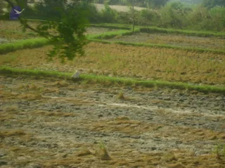 September 2006 - Sindhanur flood relief