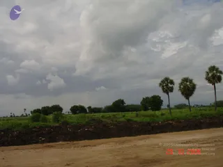October 29 2006