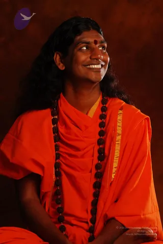 2008 SY14228 CMP WM.jpg