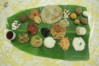 July 23 2011