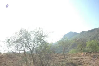 1978 - Tiruvannamalai - InnerGirivala
