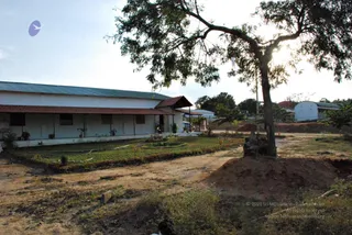 November 20 2008