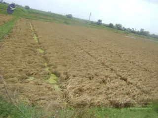 September 2006 - Sindhanur flood relief