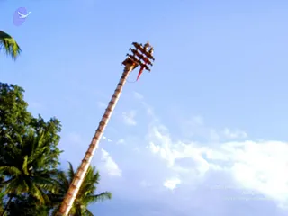 August 26 2007