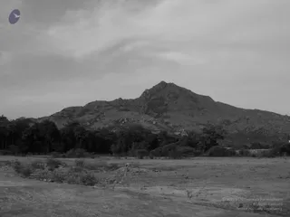 1978 - Tiruvannamalai