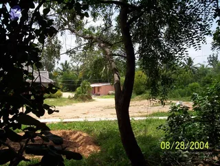 August 28 2004