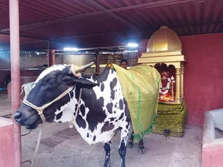 Jan 26 2022 sripuram