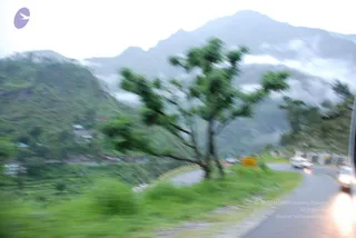 July 08 2008