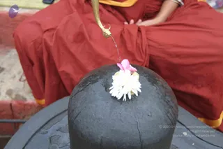 July 29 2013