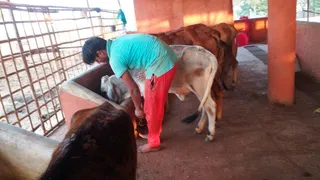 December 26 2021 sripuram Sarvajanpeetam