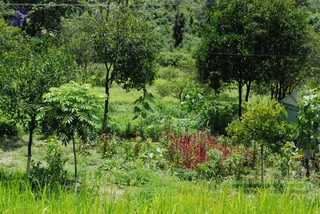 July 07 2008