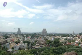 May 20 1989