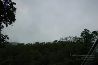 June 03 2006