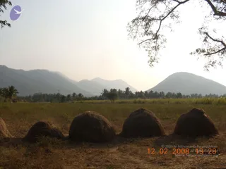 August 02 2009