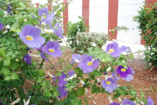 July 08 2010