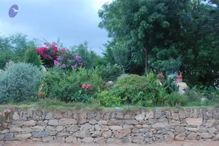 July 09 2010