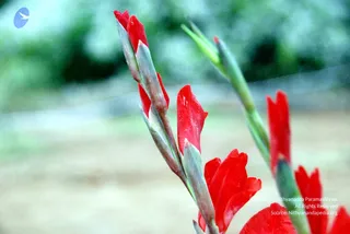 December 16 2010
