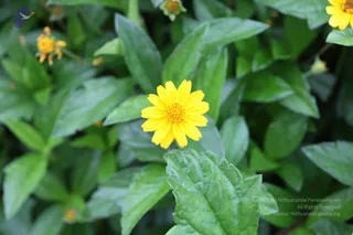 November 07 2010
