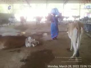 March 28 2022