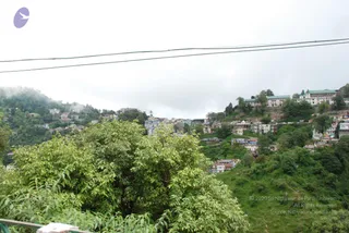 June 29 2008