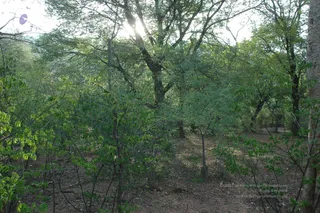 1978 - Tiruvannamalai - InnerGirivala