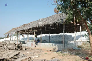 February 19 2008