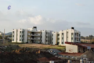 November 20 2008