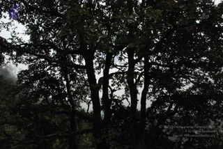 July 07 2008