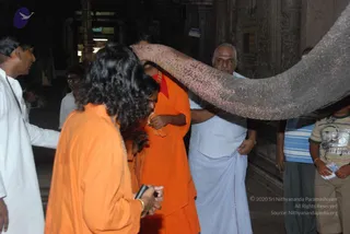 August 01 2009 - Kalpataru, Thiruvanaikaval, India