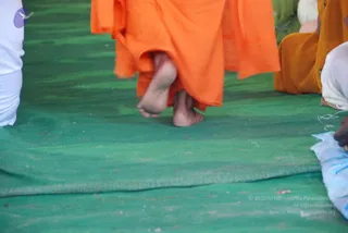 August 11 2009
