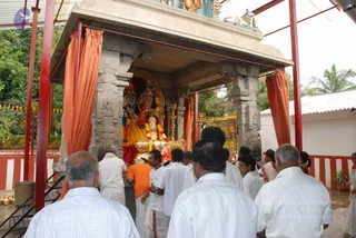 July 11 2010