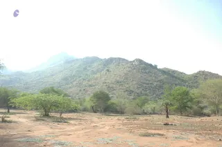 1978 - Tiruvannamalai - InnerGirivala