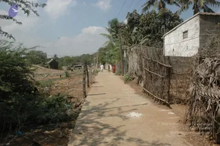 March 03 2007