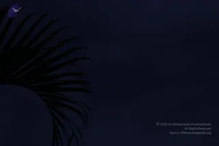 August 10 2011