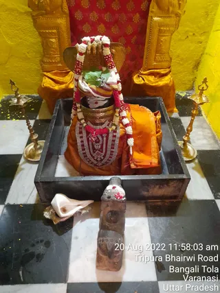 Photo 9920673