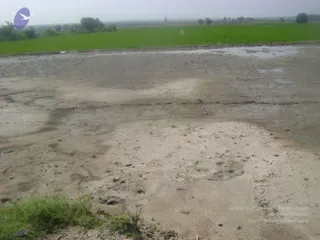 September 2006 - Sindhanur flood relief