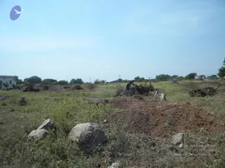 October 02 2009